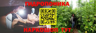 герыч Шебекино
