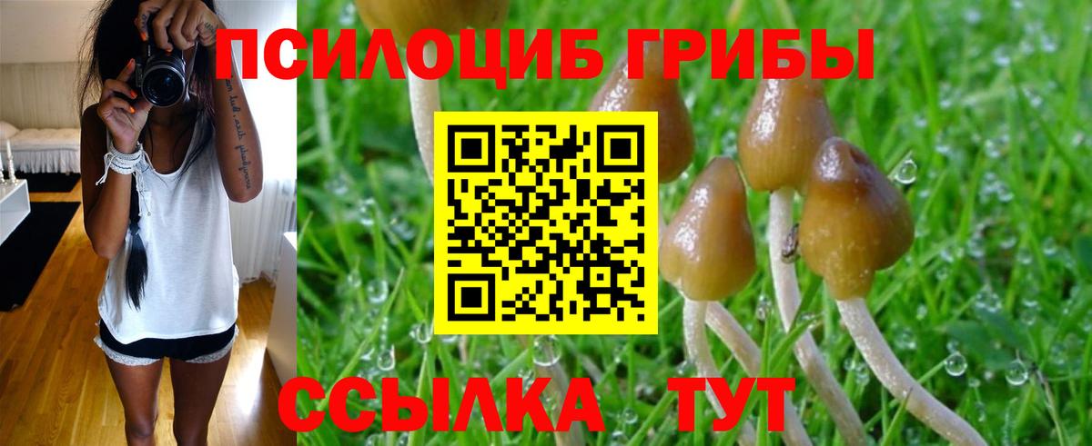 Галлюциногенные грибы мухоморы  Псилоцибиновые грибы Magic Shrooms  Братск  Вход с VPN 